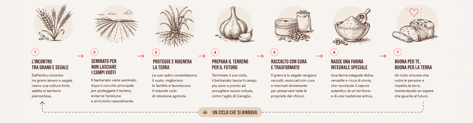 Barbarià: processo barbariato